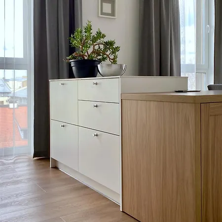 Apartment St Stephen 33 Vilnius